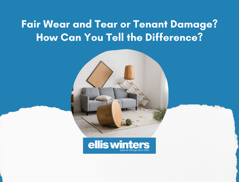 Fair Wear and Tear or Tenant Damage? How Can You Tell the Difference?